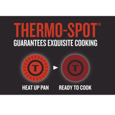 تابه تفال مدل Precision Plus سایز 24 main 1 3